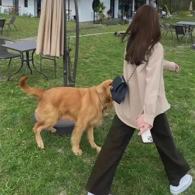 反逆儿